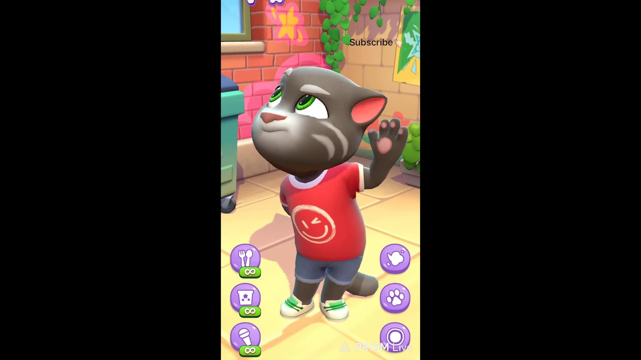 talking tom live 