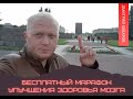 Марафон здоровья мозга. Причины ухудшения памяти в возрасте.