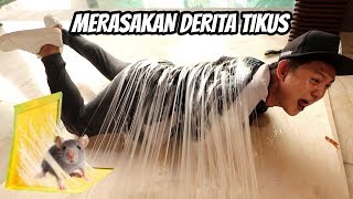 DETIK-DETIK 9 EKOR SAPI MATI TERSAMBAR PETIR