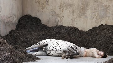 We Walked the Earth | The Danish Pavilion | 59th Venice Biennale