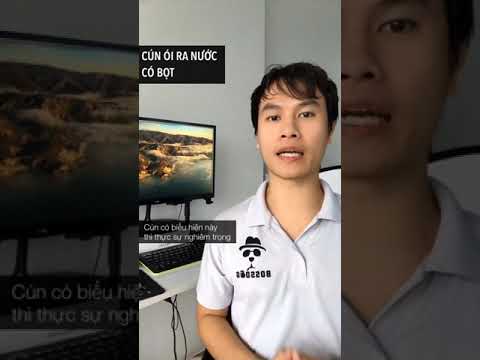 Video V026. Cún ói/nôn bọt trắng thì làm sao? | Huấn luyện... - youtube
