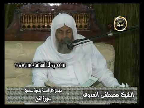 تفسير لقد خلقنا الإنسان في أحسن تقويم ثم رددناه أسفل سافلين الشيخ مصطفى العدوي