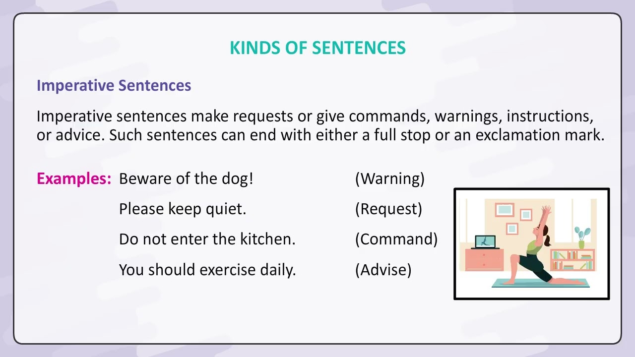 Chapter 1 The Sentence | English Grammar Class 6