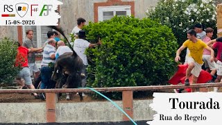 Tourada à corda in Rua do Regelo, Fonte do Bastardo, Fonte do Bastardo, 15 August 2026