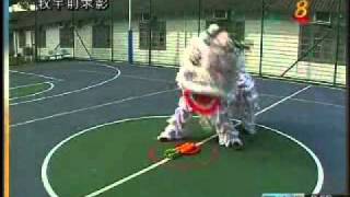 CNY Lion dance VTS_18_1.avi