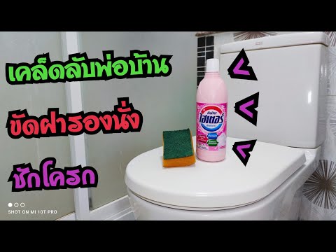 New - วิธีขัดฝารองนั่งชักโครกให้สะอาดขาวเหมือนใหม่ #NewCreator