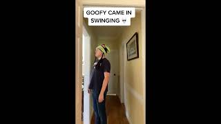 Talon Tiktok Compilation