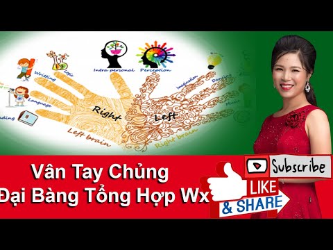 Video Vân Tay Chủng Đại Bàng Tổng Hợp Wx | Phân Tích Vân Tay... - youtube