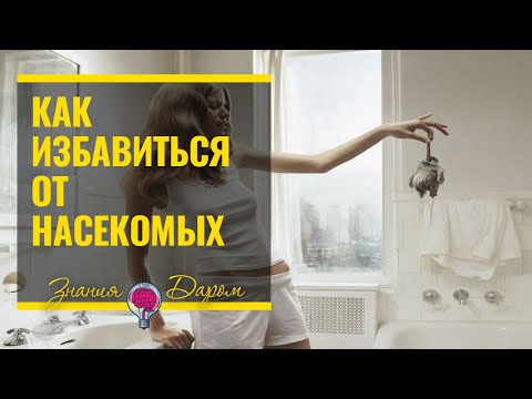 КАК ИЗБАВИТЬСЯ ОТ НАСЕКОМЫХ В ВАННОЙ