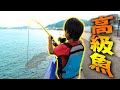 【釣り】高級魚 VS 小学生 ※奇跡が起きた!!