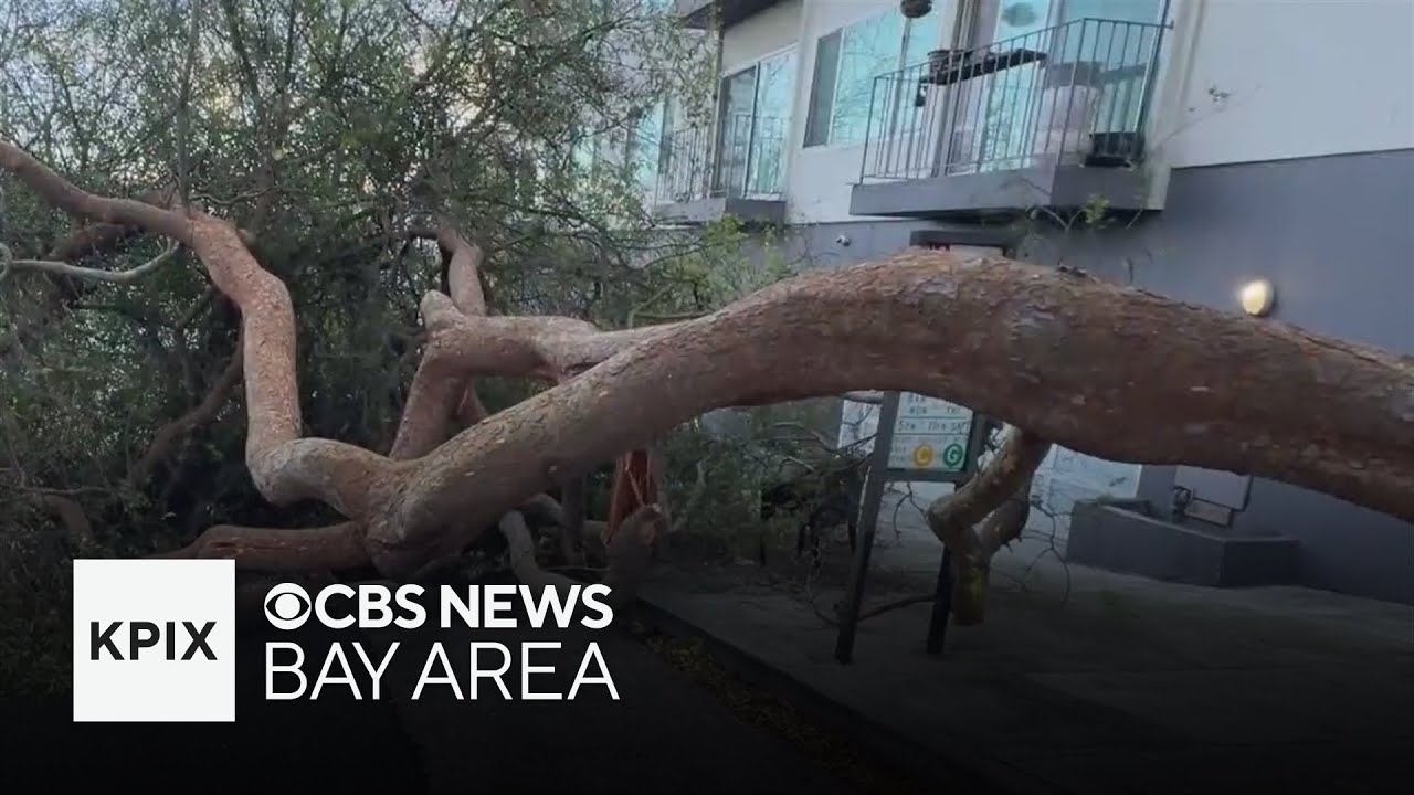 Intense storm leaves damage across Bay Area for Christmas as new storm ...