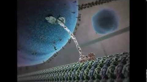 EA 322 - Inner Life of the Cell