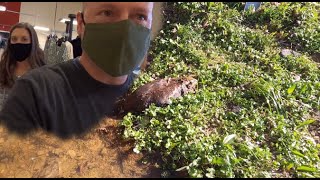 Creek Treasure: The Crusty Beaver & TJ Max Boaz Alabama