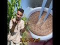 لما اخوك الصغير يروح يزقي الزرع مع ابوك احمدالاسطوره Fypシ Viral Pov Fypツ 