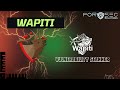 Wapiti Tool Tutorial : Powerful Web Vulnerability Scanner for Beginners | Explained
