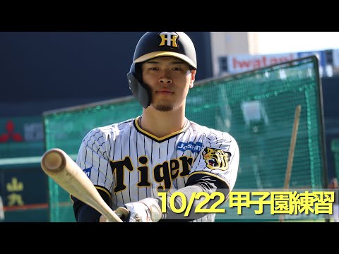 【再始動】#日本シリーズ に向け甲子園球場で再始動した選手たちの練習の様子をお届けします！！