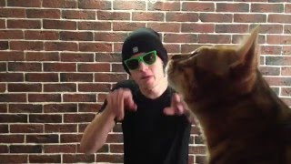 vanya2000 - выпуск 19 (коты и пришельцы) vanya2000 - выпуск 19 (коты и пришельцы)