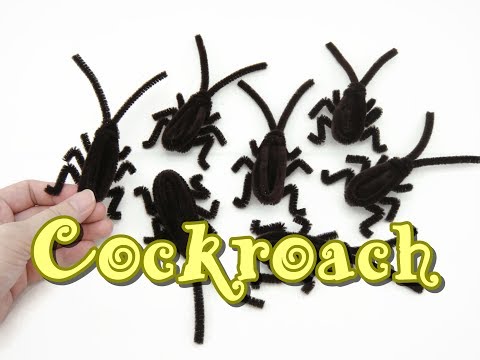 diy-pipe-cleaner-how-to---cockroach