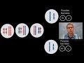 Chromosomal Inheritance