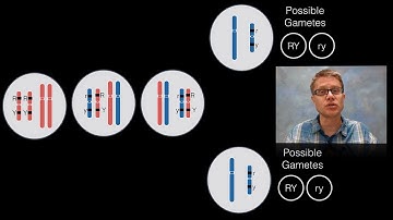 Chromosomal Inheritance