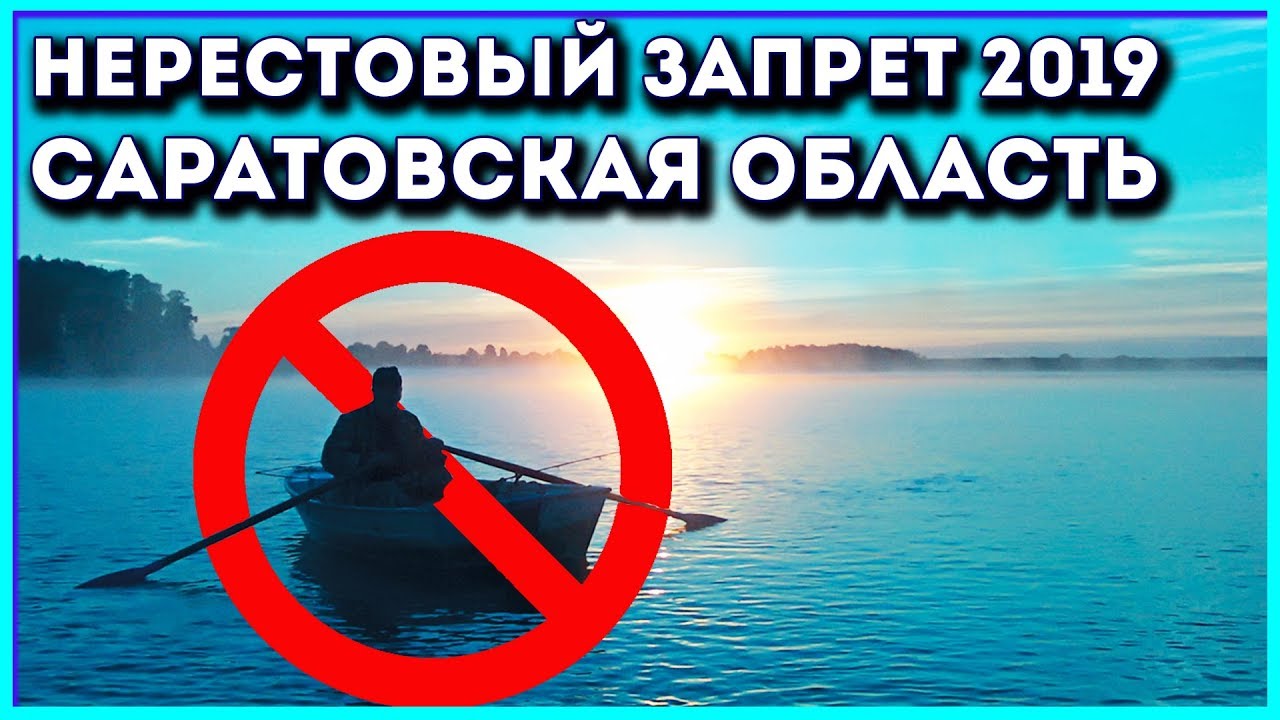 Нерестовый запрет в волгоградской области. Нерестовый запрет Саратов. Нерестовый запрет в Саратовской обл.Перелюбский район. Когда снимают нерестовый запрет в Саратове.