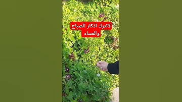 لاتترك اذكار الصباح والمساء #explore #اكسبلور #اذكار_الصباح_والمساء