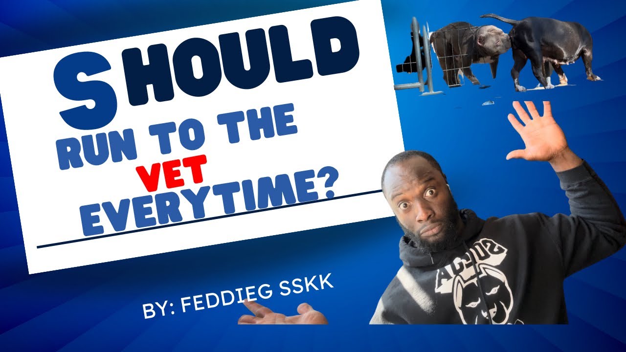 🤷🏿‍♂️ Should I Take My Dog To The Vet??? YouTube