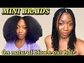 Mini Braids | Simple Protective Style on Natural hair