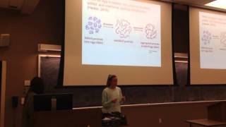 com114y Simple Explanation Anna Dolce