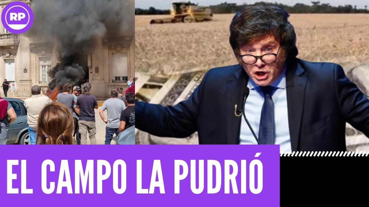 ¡¡¡SE PICÓ!! EL CAMPO SE PLANTÓ Y LA PUDRIÓ TODA EN 9 DE JULIO