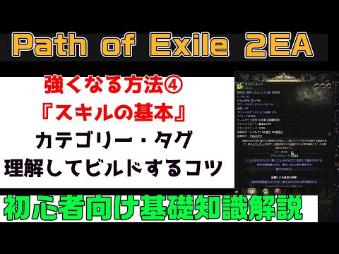 Path of Exile 2『強くなる方法④『スキルの基本』カテゴリーやタグの理解をしてビルドを楽しむコツ スキル・サポート・ヘラルド 初心者向け丁寧に解説』PC.PS5.XBOX【PoE2】