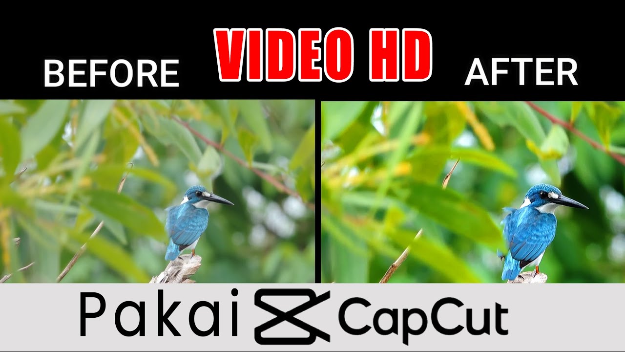 Cara Mengubah Video Menjadi HD di Capcut YouTube