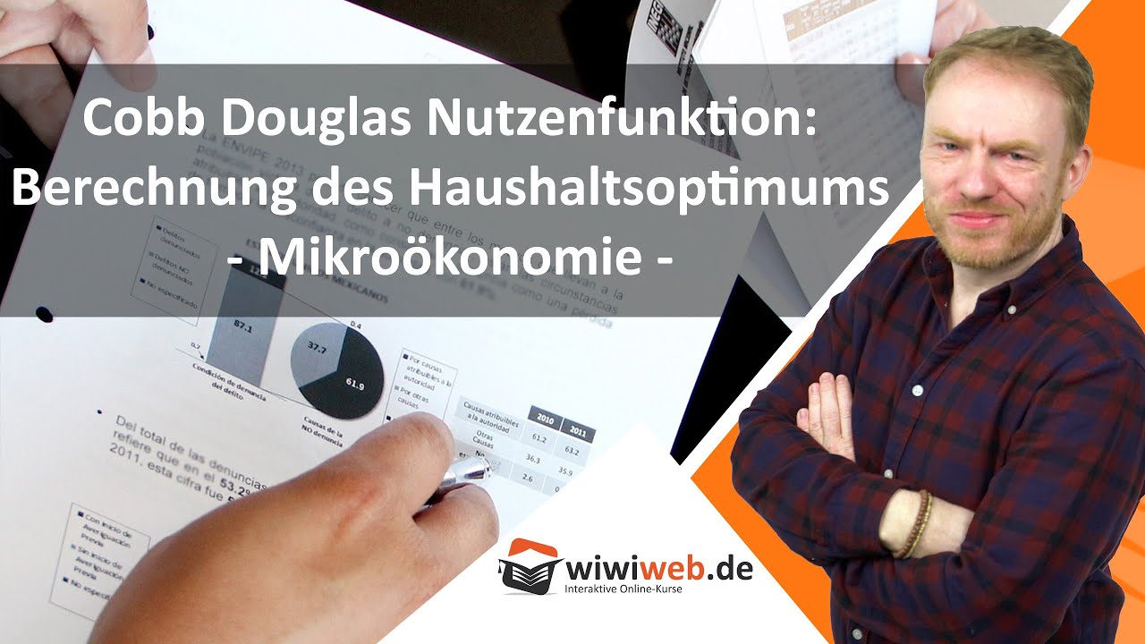 Cobb Douglas Nutzenfunktion: Berechnung des