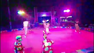 Jungle Boys Acrobats 