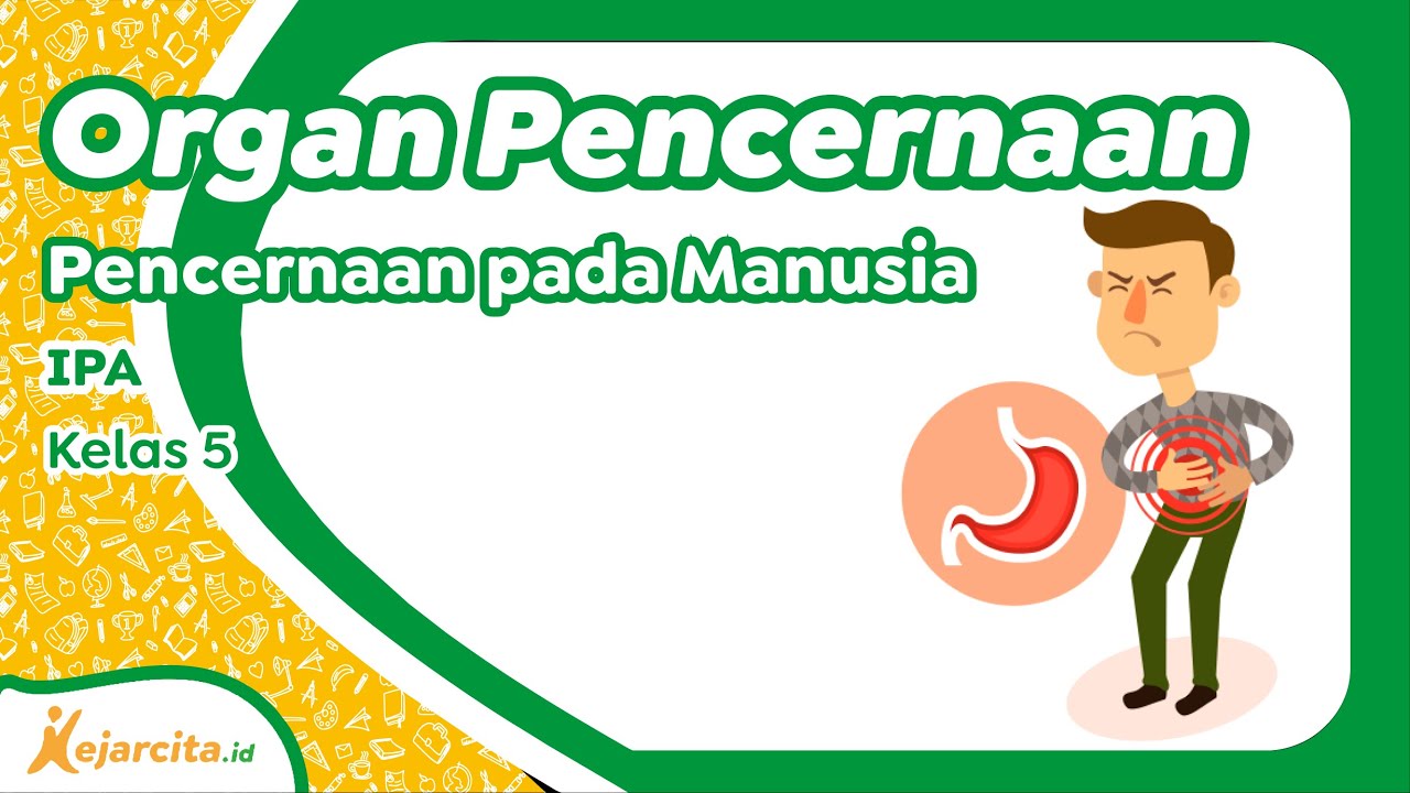 Penyakit Yang Menyerang Organ Pencernaan - Homecare24