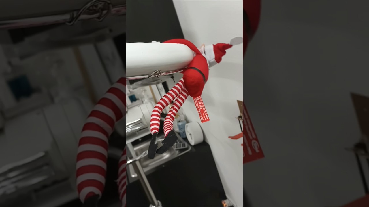 Santa's Helper Hanging On For Dear Life at the Salon