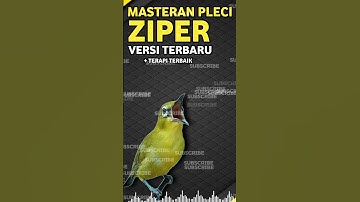 MASTERAN PLECI ZIPPER VERSI TERBARU 2024 , PLECI LEGEND LANGGANAN JUARA NASIONAL #shortsviral