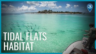 Tidal flats in Florida Keys National Marine Sanctuary