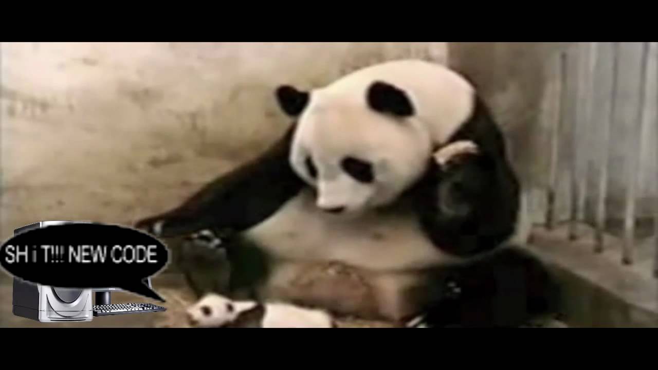 Swag code panda - YouTube