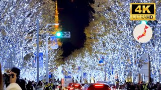 【4K HDR】 Roppongi Hills & Christmas Market｜Tokyo Illumination 2023｜DIOR collaboration by Walking Japan with you 566 views 4 months ago 36 minutes