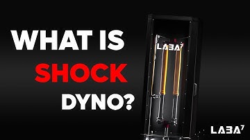 What is a shock dyno and why do suspension professionals use it?
