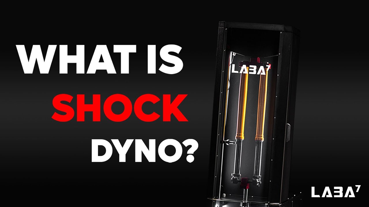 What is a shock dyno and why do suspension professionals use it?