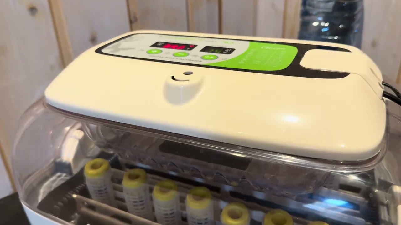 Recenzja inkubatora do wychowu matek - Rcom Insect max 70