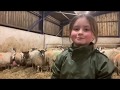 February Lambing Time