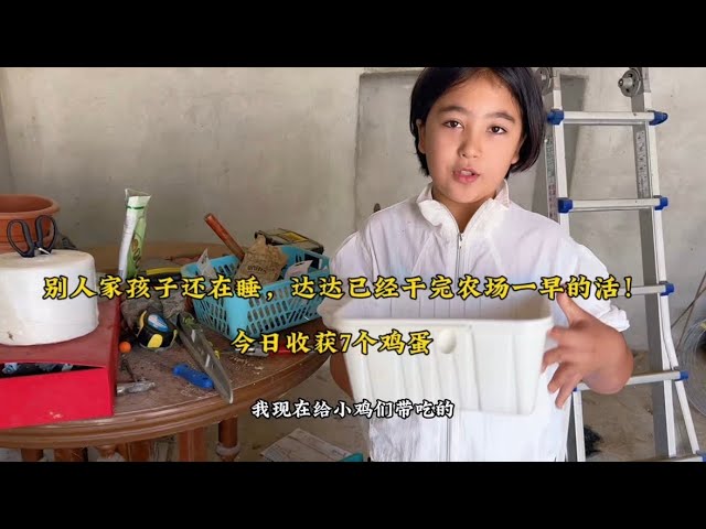 别人家孩子还在睡，达达已经干完农场一早的活！今日收获7个鸡蛋🥚
