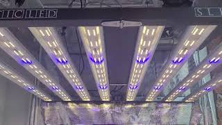 Optic LED Grow Lights - Slim 600s LED Grow Light!