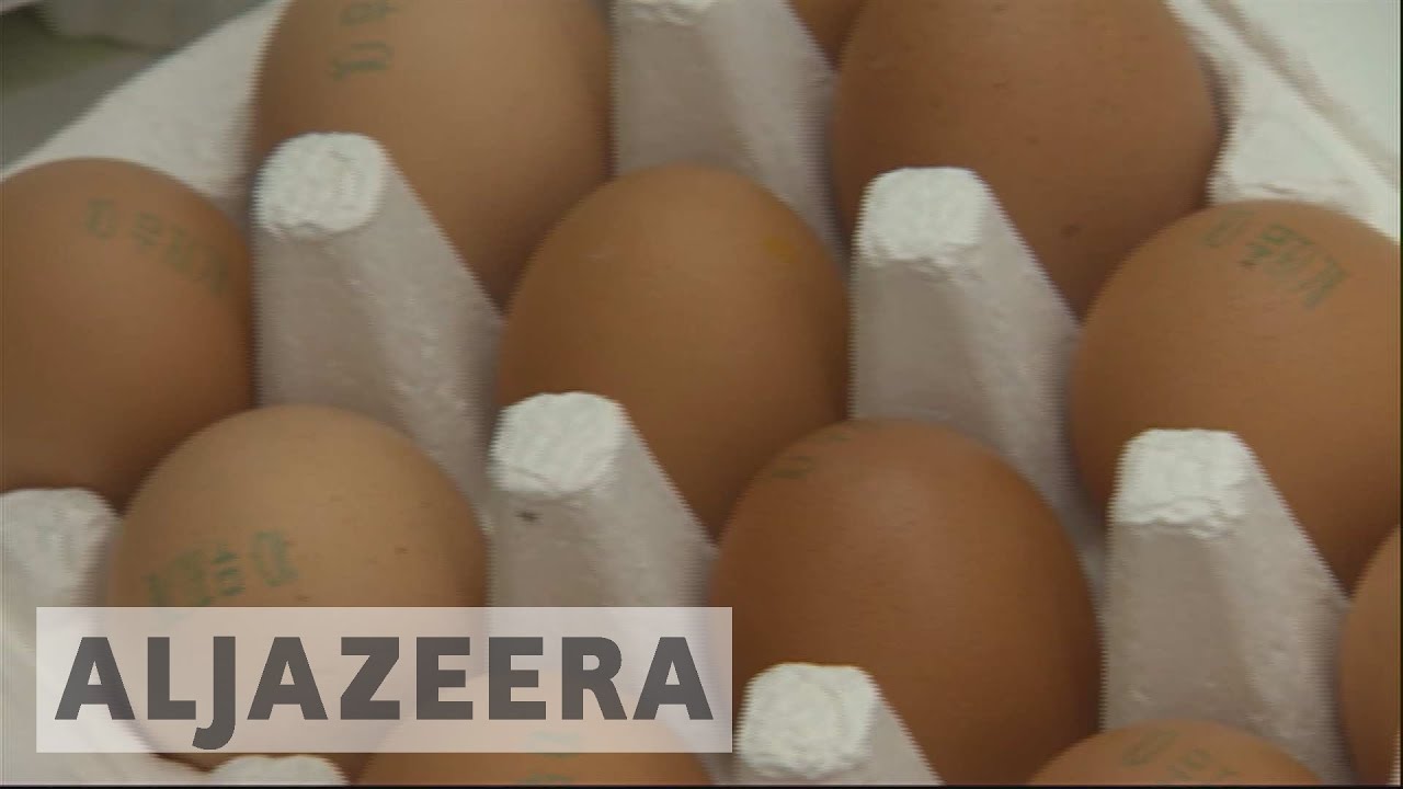 كوريا الجنوبية تعاني من أسوأ تفشٍ لإنفلونزا الطيور في تاريخ البلاد