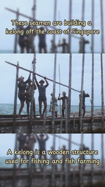 How a kelong is built in 1960s Singapore! #fishing #sea #ocean #seamen #shorts #singapore #history
