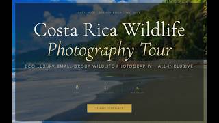 Costa Rica Wildlife Luxury Photography Tour All Inclusive Osa Peninsula