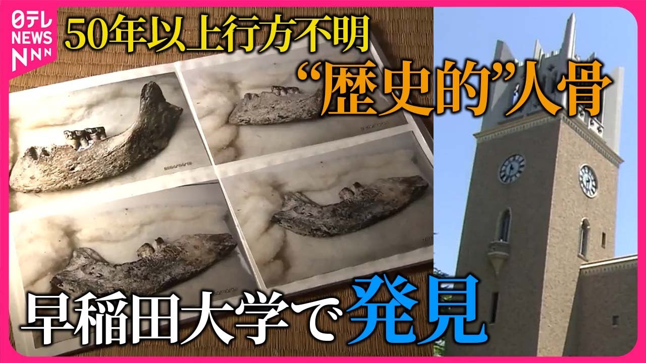 歴史的”人骨】ようやく発見 50年以上行方不明 - YouTube